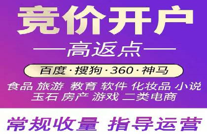 案例分享：SEM推广助力电商快速崛起